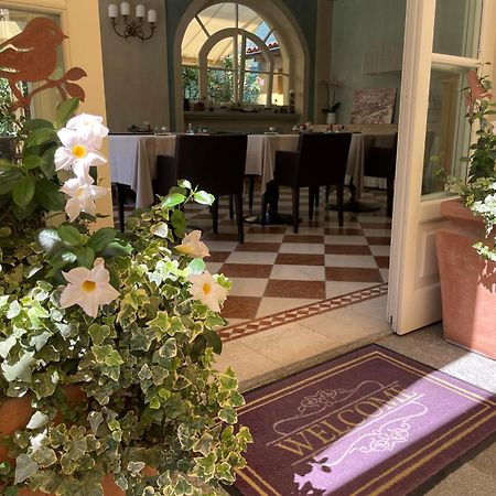 Villa Palmira Kinderfreies Hotel กันโนบีโอ ภายนอก รูปภาพ