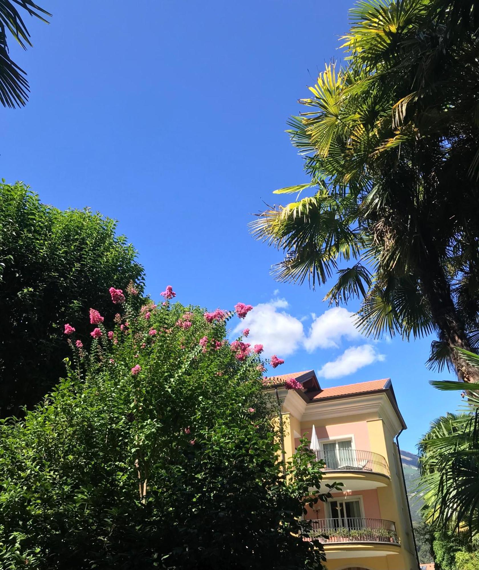 Villa Palmira Kinderfreies Hotel กันโนบีโอ ภายนอก รูปภาพ