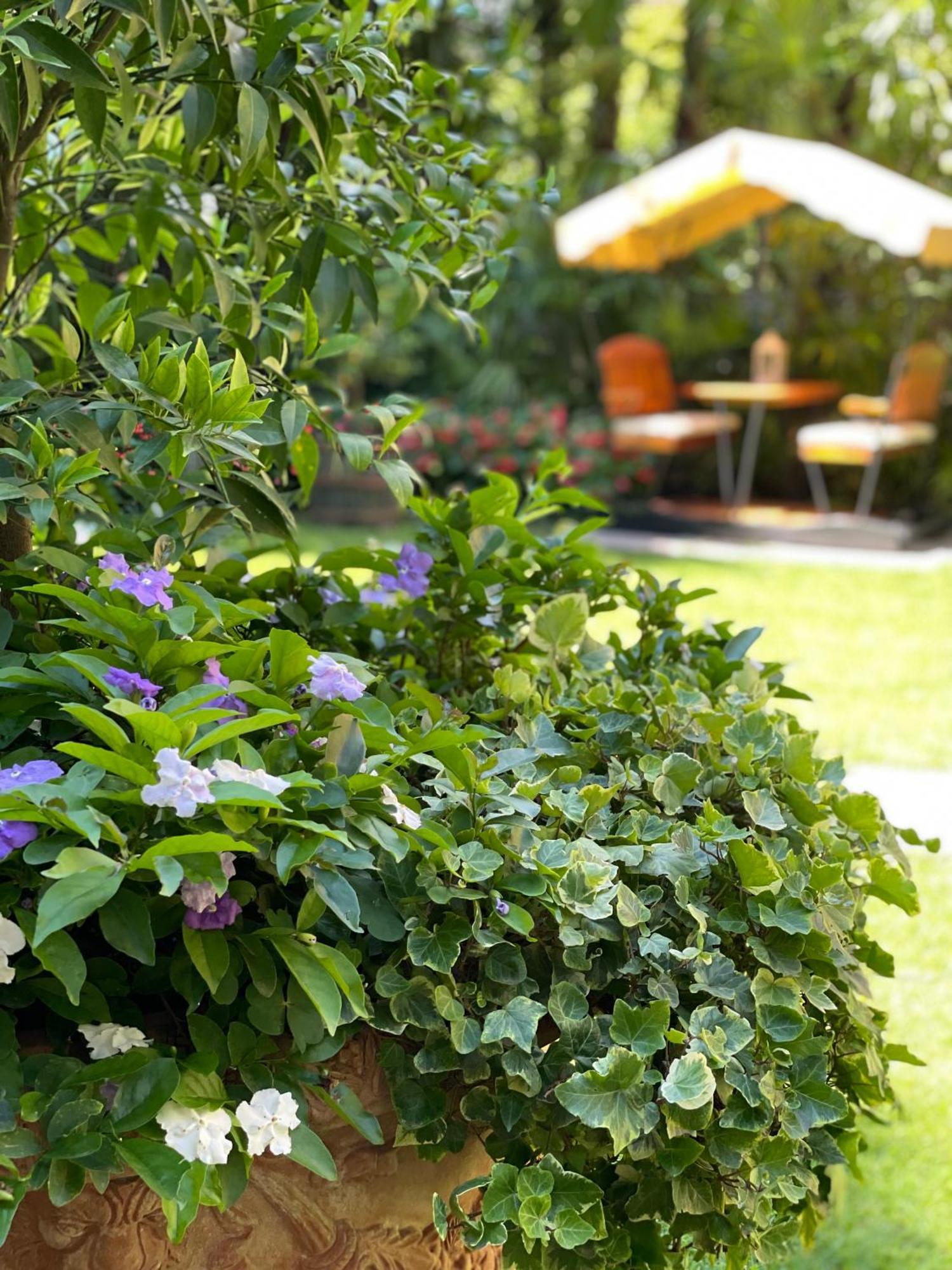 Villa Palmira Kinderfreies Hotel กันโนบีโอ ภายนอก รูปภาพ